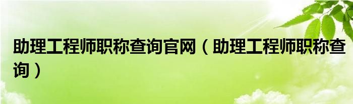 助理工程师职称查询官网（助理工程师职称查询）
