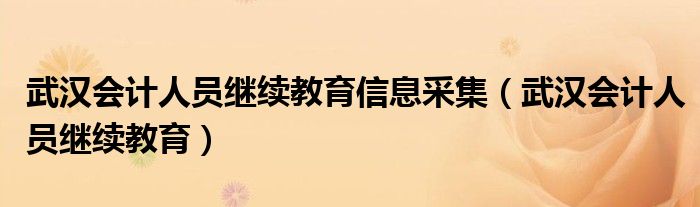 武汉会计人员继续教育信息采集（武汉会计人员继续教育）