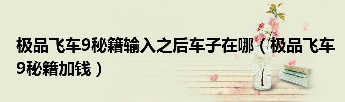 极品飞车9秘籍输入之后车子在哪（极品飞车9秘籍加钱）