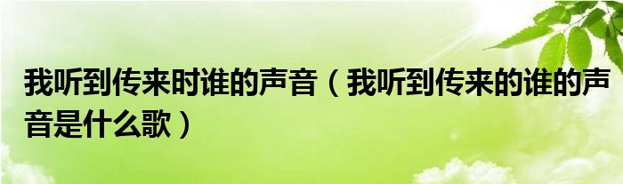 我听到传来时谁的声音（我听到传来的谁的声音是什么歌）