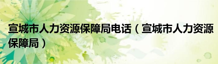 宣城市人力资源保障局电话（宣城市人力资源保障局）