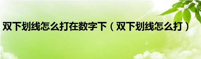 双下划线怎么打在数字下（双下划线怎么打）