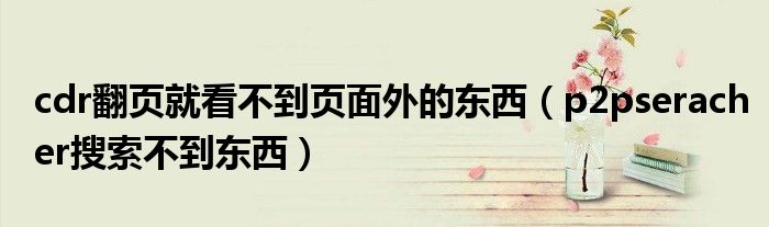cdr翻页就看不到页面外的东西（p2pseracher搜索不到东西）