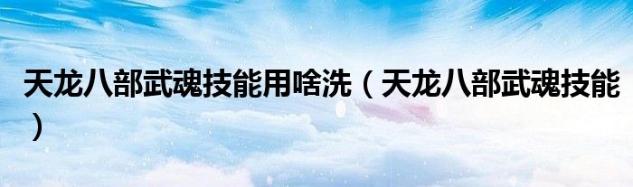 天龙八部武魂技能用啥洗（天龙八部武魂技能）