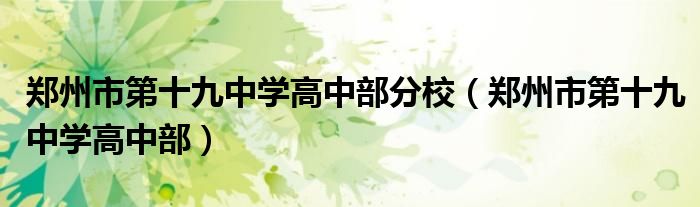 郑州市第十九中学高中部分校（郑州市第十九中学高中部）