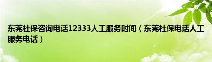 东莞社保咨询电话12333人工服务时间（东莞社保电话人工服务电话）