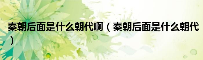 秦朝后面是什么朝代啊（秦朝后面是什么朝代）
