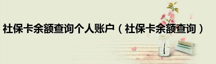 社保卡余额查询个人账户（社保卡余额查询）