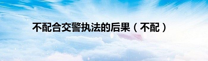 不配合交警执法的后果（不配）