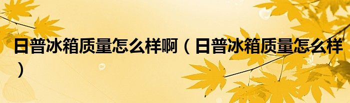 日普冰箱质量怎么样啊（日普冰箱质量怎么样）