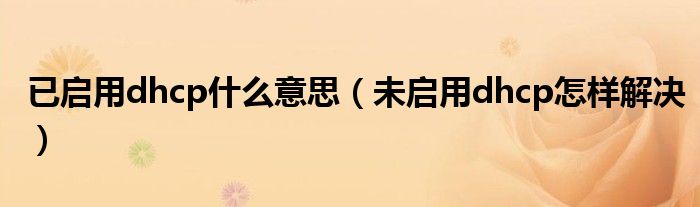 已启用dhcp什么意思（未启用dhcp怎样解决）