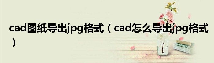 cad图纸导出jpg格式（cad怎么导出jpg格式）