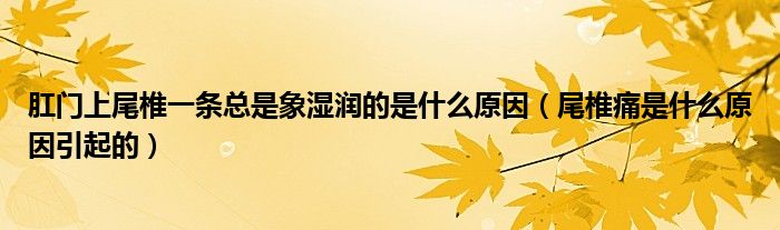 肛门上尾椎一条总是象湿润的是什么原因（尾椎痛是什么原因引起的）
