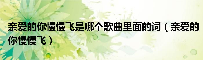 亲爱的你慢慢飞是哪个歌曲里面的词（亲爱的你慢慢飞）