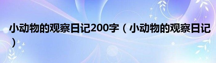小动物的观察日记200字（小动物的观察日记）