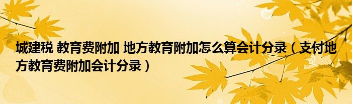 城建税 教育费附加 地方教育附加怎么算会计分录（支付地方教育费附加会计分录）