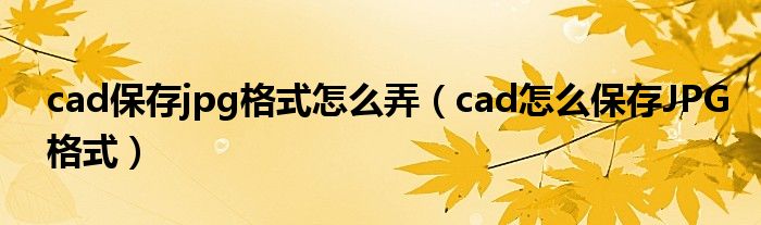 cad保存jpg格式怎么弄（cad怎么保存JPG格式）