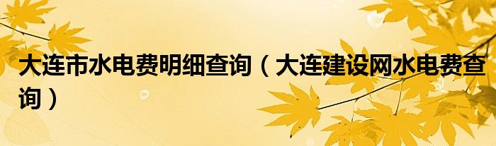 大连市水电费明细查询（大连建设网水电费查询）