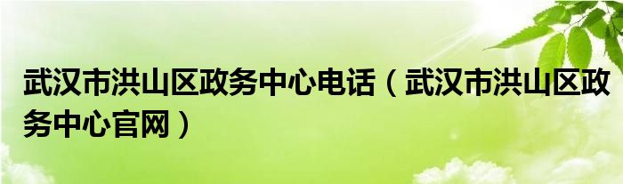 武汉市洪山区政务中心电话（武汉市洪山区政务中心官网）