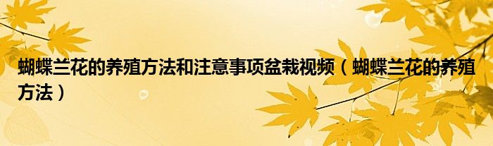 蝴蝶兰花的养殖方法和注意事项盆栽视频（蝴蝶兰花的养殖方法）