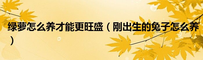 绿萝怎么养才能更旺盛（刚出生的兔子怎么养）