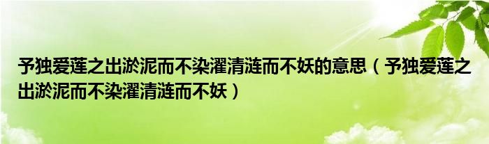 予独爱莲之出淤泥而不染濯清涟而不妖的意思（予独爱莲之出淤泥而不染濯清涟而不妖）
