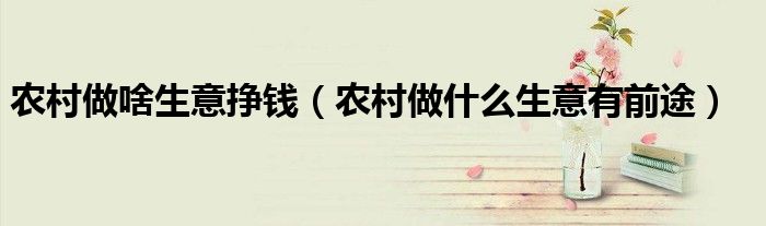 农村做啥生意挣钱（农村做什么生意有前途）