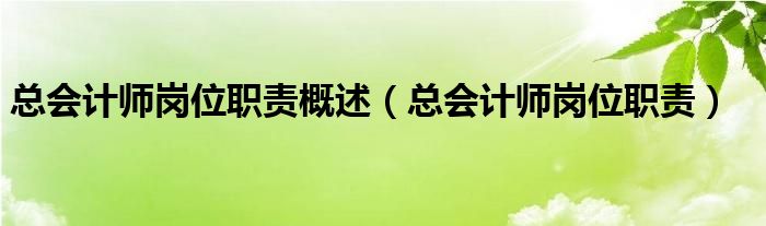 总会计师岗位职责概述（总会计师岗位职责）
