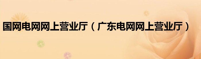 国网电网网上营业厅（广东电网网上营业厅）