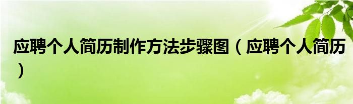 应聘个人简历制作方法步骤图（应聘个人简历）
