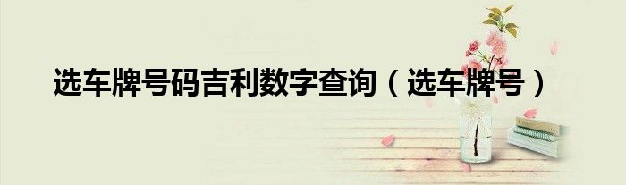 选车牌号码吉利数字查询（选车牌号）