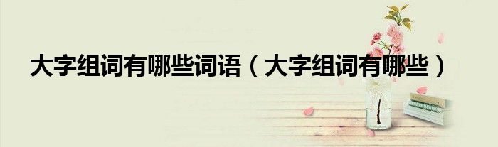 大字组词有哪些词语（大字组词有哪些）