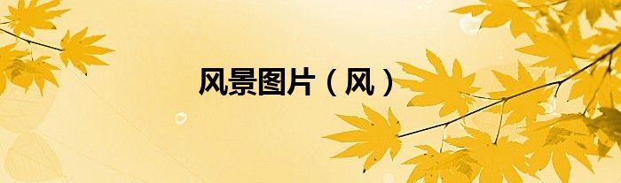 风景图片（风）