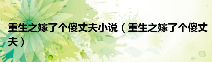 重生之嫁了个傻丈夫小说（重生之嫁了个傻丈夫）