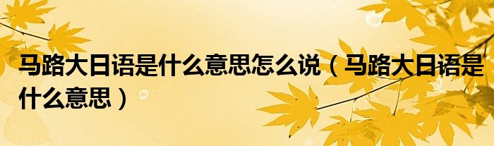 马路大日语是什么意思怎么说（马路大日语是什么意思）