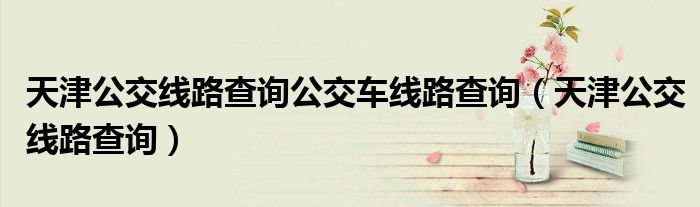 天津公交线路查询公交车线路查询（天津公交线路查询）