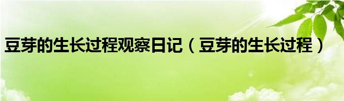 豆芽的生长过程观察日记（豆芽的生长过程）