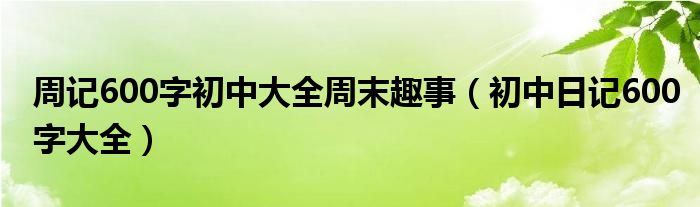 周记600字初中大全周末趣事（初中日记600字大全）