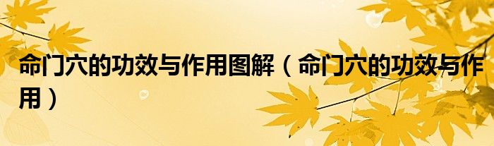 命门穴的功效与作用图解（命门穴的功效与作用）