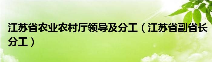 江苏省农业农村厅领导及分工（江苏省副省长分工）