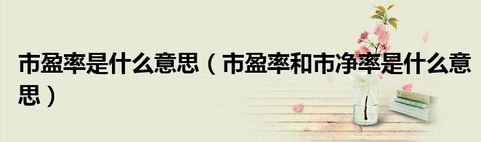 市盈率是什么意思（市盈率和市净率是什么意思）