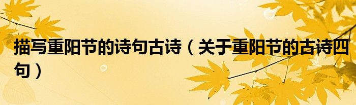 描写重阳节的诗句古诗（关于重阳节的古诗四句）