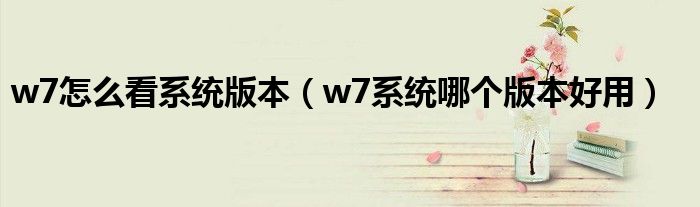 w7怎么看系统版本（w7系统哪个版本好用）