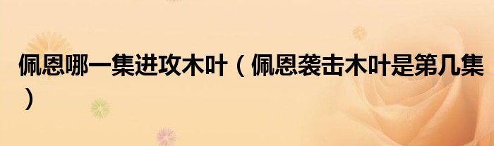 佩恩哪一集进攻木叶（佩恩袭击木叶是第几集）