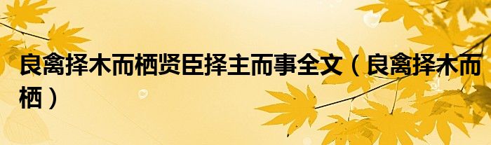 良禽择木而栖贤臣择主而事全文（良禽择木而栖）