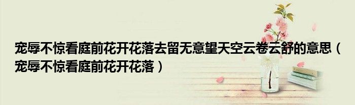 宠辱不惊看庭前花开花落去留无意望天空云卷云舒的意思（宠辱不惊看庭前花开花落）
