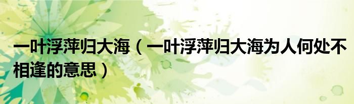 一叶浮萍归大海（一叶浮萍归大海为人何处不相逢的意思）