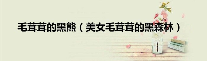 毛茸茸的黑熊（美女毛茸茸的黑森林）