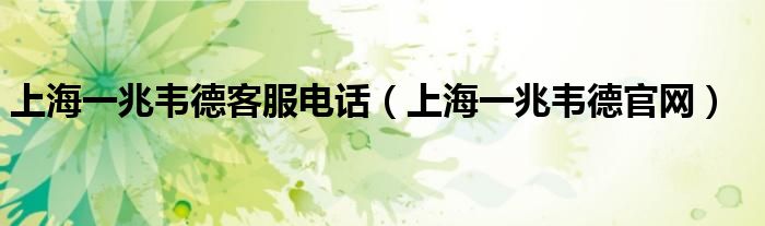 上海一兆韦德客服电话（上海一兆韦德官网）