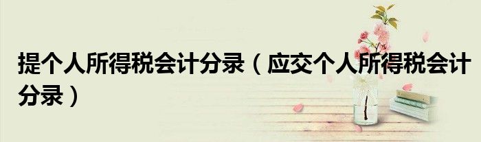 提个人所得税会计分录（应交个人所得税会计分录）